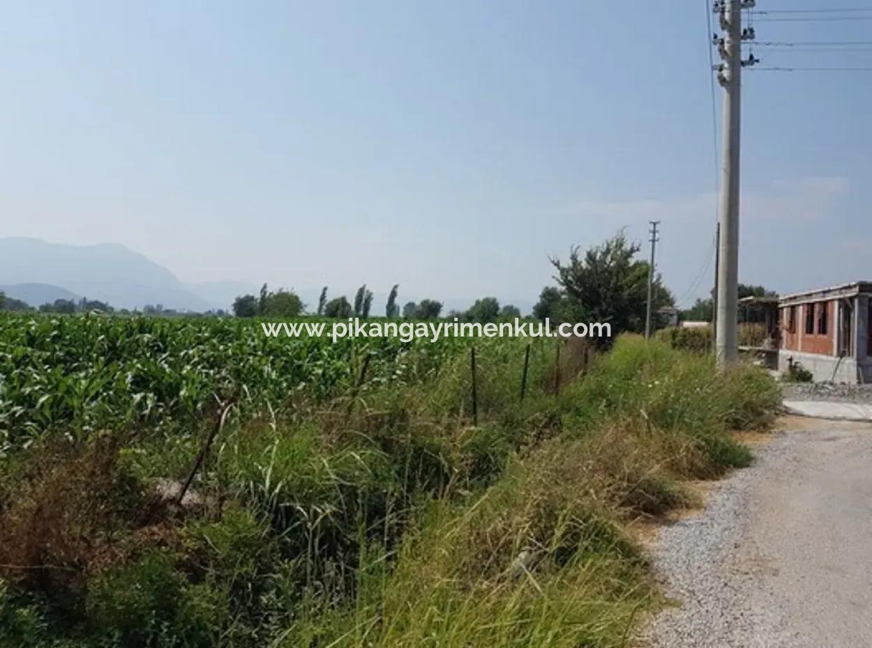 Freistehende 15000 M2 Fruchtbares Land Zum Verkauf In Mugla Ortaca Bogenschützen