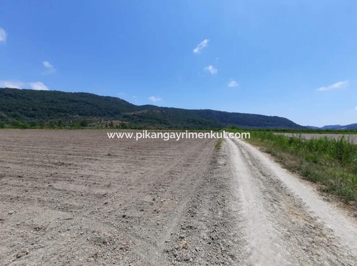 Fruchtbares Land Zu Vermieten In Ortaca Güzelyurt