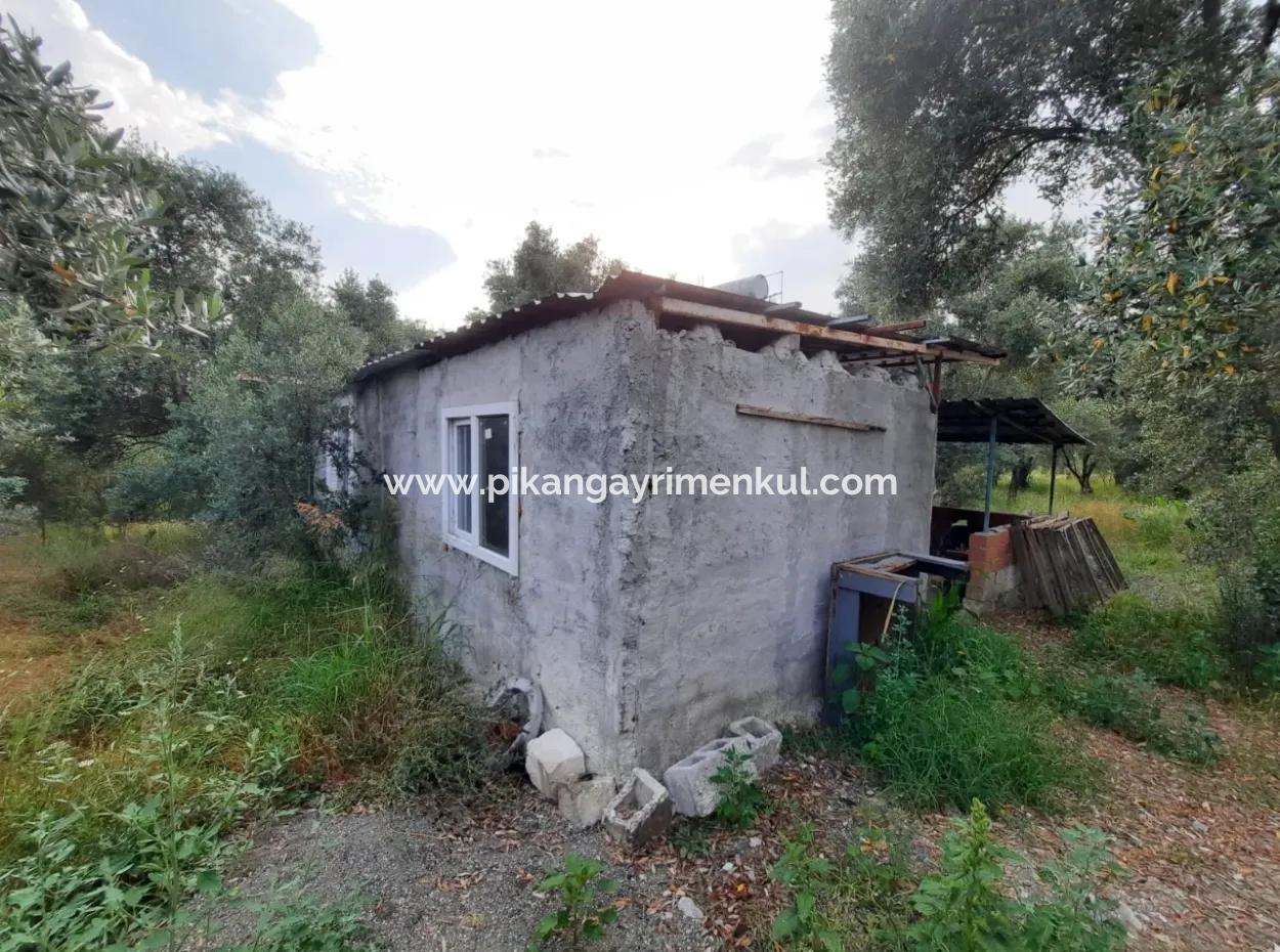 2 821 M2 Freistehendes Grundstück Mit Seeblick In Köyceğiz Zeytinalanı Nachbarschaft Steht Zum Verkauf