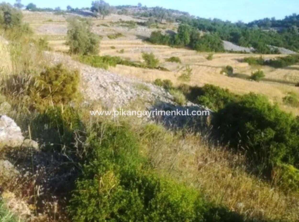 Grundstück Mit Meerblick Zum Verkauf In Boğaziçi Seydikemer