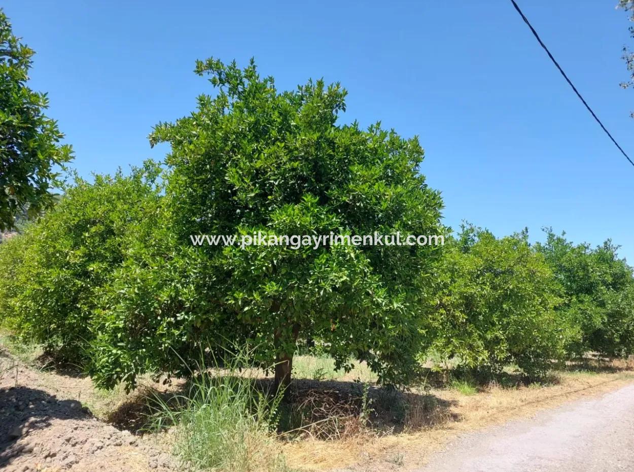 Muğla, Ortaca, Okçular Da, 1015, 69 M2, Freistehendes Grundstück Steht Zum Verkauf.