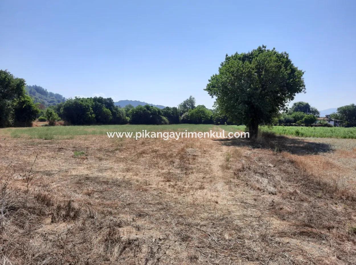 Freistehendes 1876 M2 Schnäppchengrundstück Zum Verkauf In Çameli Cumalanda