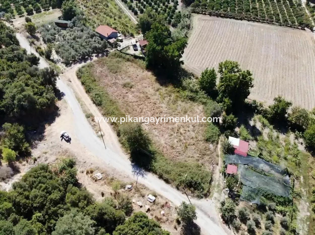 3073 M2 Feld Zu Vermieten In Dalyan Marmarlı