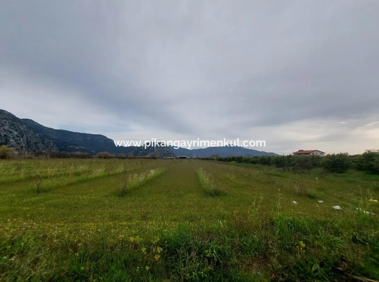 5094 M2, 250 M2 Granatapfelgarten, Geeignet Für Investitionen Mit Baugenehmigung Zum Verkauf In Dalyan.