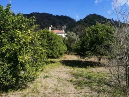 3 Grundstücke Zum Verkauf Seite An Seite Mit Dalaman-Fethiye Straßenfassade Im Zentrum Von Ortaca