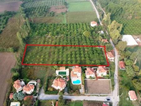 Muğla Okçular Marmarlıda 4.000M2 Bebauungsplan, Grundstück Für Investitionen Geeignet Zum Verkauf