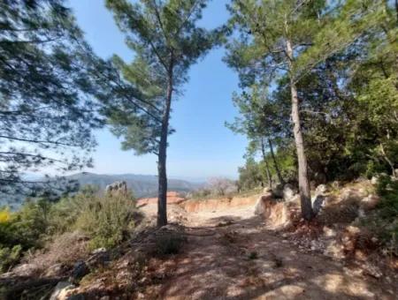 1 300 M2 63 M2 Zoniertes Grundstück Zum Verkauf In Göcek Gökçeovacik