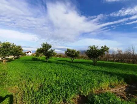 1500 M2 Freistehendes Grundstück In Der Natur Zum Verkauf In Ortaca Okçular