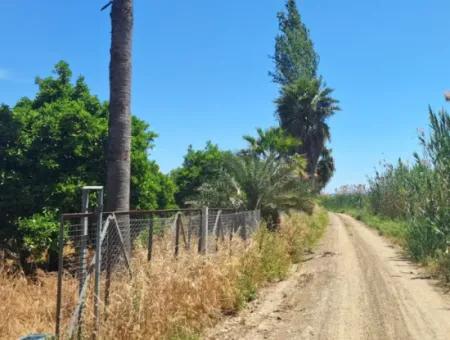 3 1 Dorfhaus Zum Verkauf In 17.000 M2 Orange Garden In Köyceğiz Toparlar