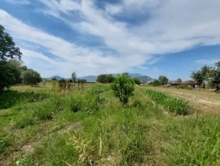 Fruchtbares 1.680 M2 Land Am Berghang Zum Verkauf In Dalyan, Muğla