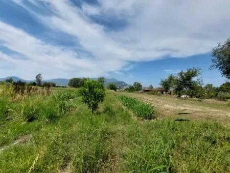 Fruchtbares 1.680 M2 Land Am Berghang Zum Verkauf In Dalyan, Muğla