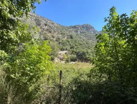 3073 M2 Feld Zu Vermieten In Dalyan Marmarlı