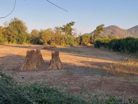 3 700 M2 Grundstück Zum Verkauf An Der Hauptstraße In Muğla Ortaca Kemaliye