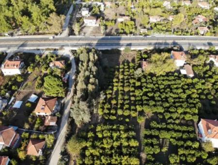 Muğla Köyceğizde Antalya - Izmir Hauptstraße Null Tankstelle Geeignetes Gewerbegebiet Land Zum Verkauf