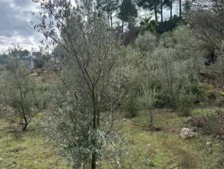 Zu Verkaufen In Fethiye Gökçeovacıkta 1709 M2