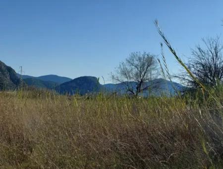 4.800 M2 Grundstück Zum Verkauf In Muğla Ortaca Dalyan