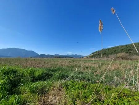 Fruchtbares 6.350 M2 Land Zum Verkauf In Muğla Ortaca Güzelyurt