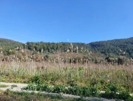 Fruchtbares 6.350 M2 Land Zum Verkauf In Muğla Ortaca Güzelyurt