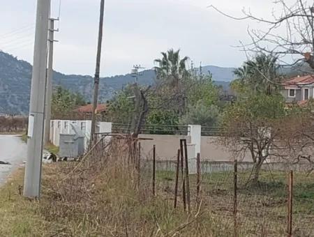 5094 M2, 250 M2 Granatapfelgarten, Geeignet Für Investitionen Mit Baugenehmigung Zum Verkauf In Dalyan.