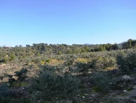 Wertvolle Waterfront Land Zum Verkauf In Tlos Fethiye Kragen