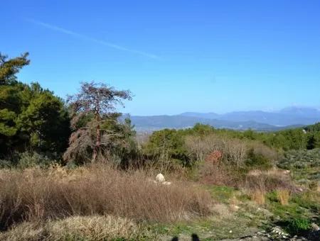 Wertvolle Waterfront Land Zum Verkauf In Tlos Fethiye Kragen