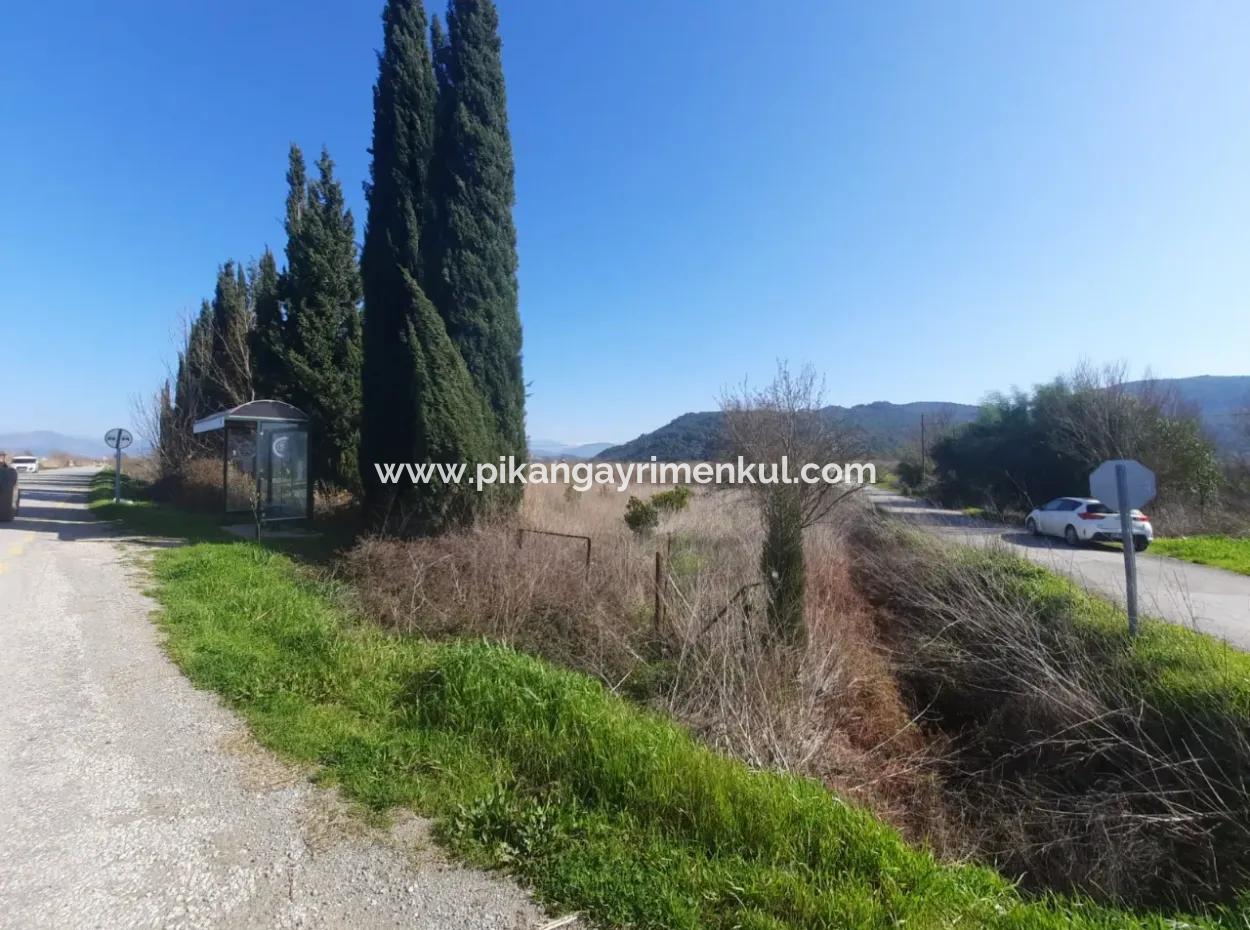 Mugla Ortaca Güzelyurt Sarıgerme Road Facing 2256 M2 Field For Sale