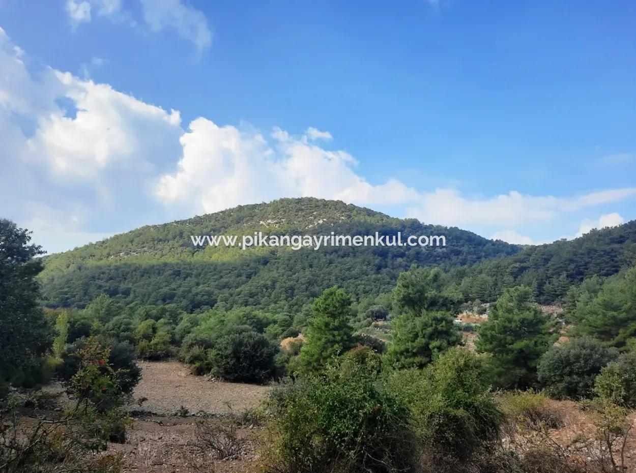 Mugla Dalyan Gökbel 320 M2 Bargain Land For Sale