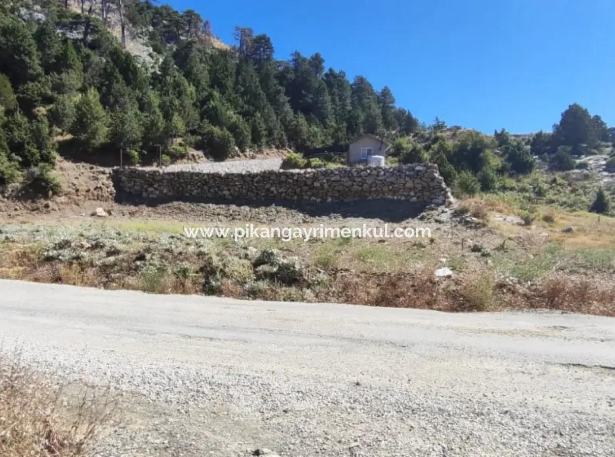 1.522M2 Field For Sale In Çövenli Plateau Of Muğla Köyceğiz Sazak Region