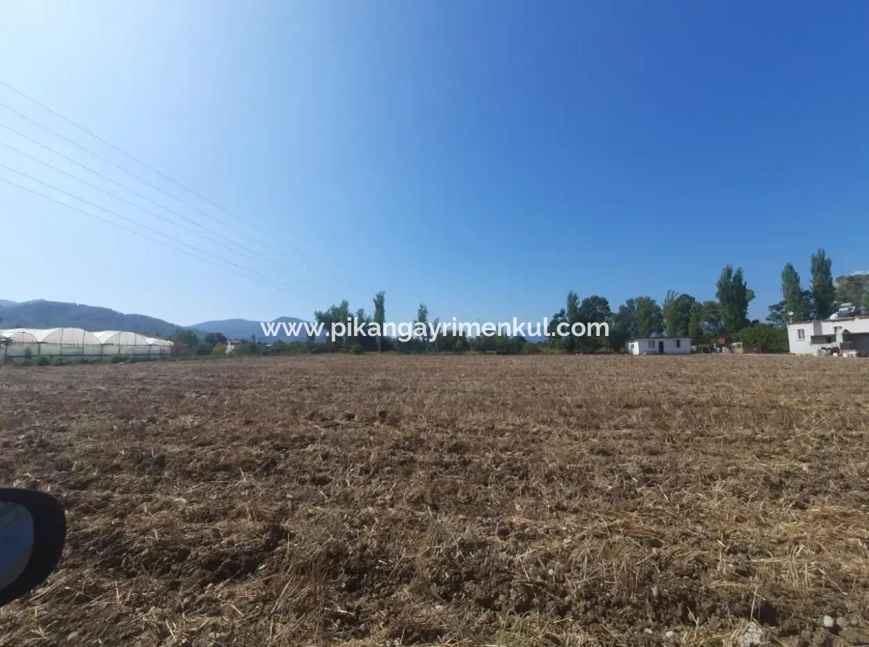 7 500 M2 Bargain Land For Sale In Ortaca Kemaliye