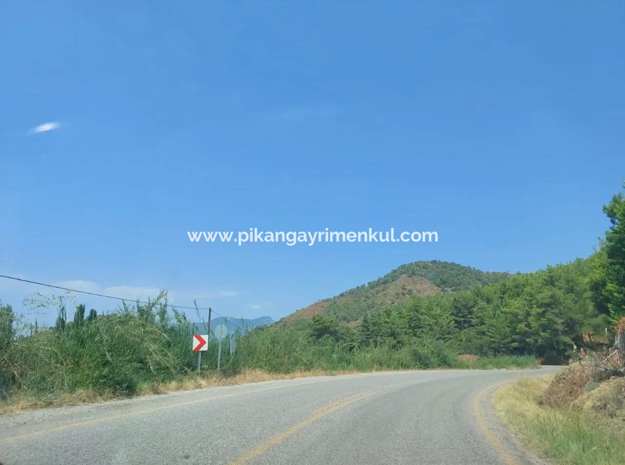 Muğla Ortaca Ekşiliyurtta Roadfront 7.000 M2 Lemon Garden For Sale