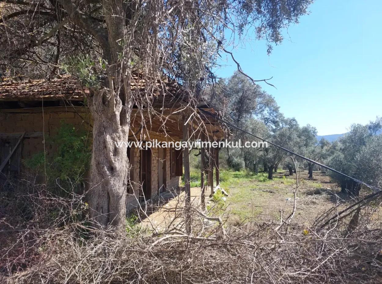 Köyceğiz, Çandırda Close To The Lake, 1160 M2 And Village House For Sale