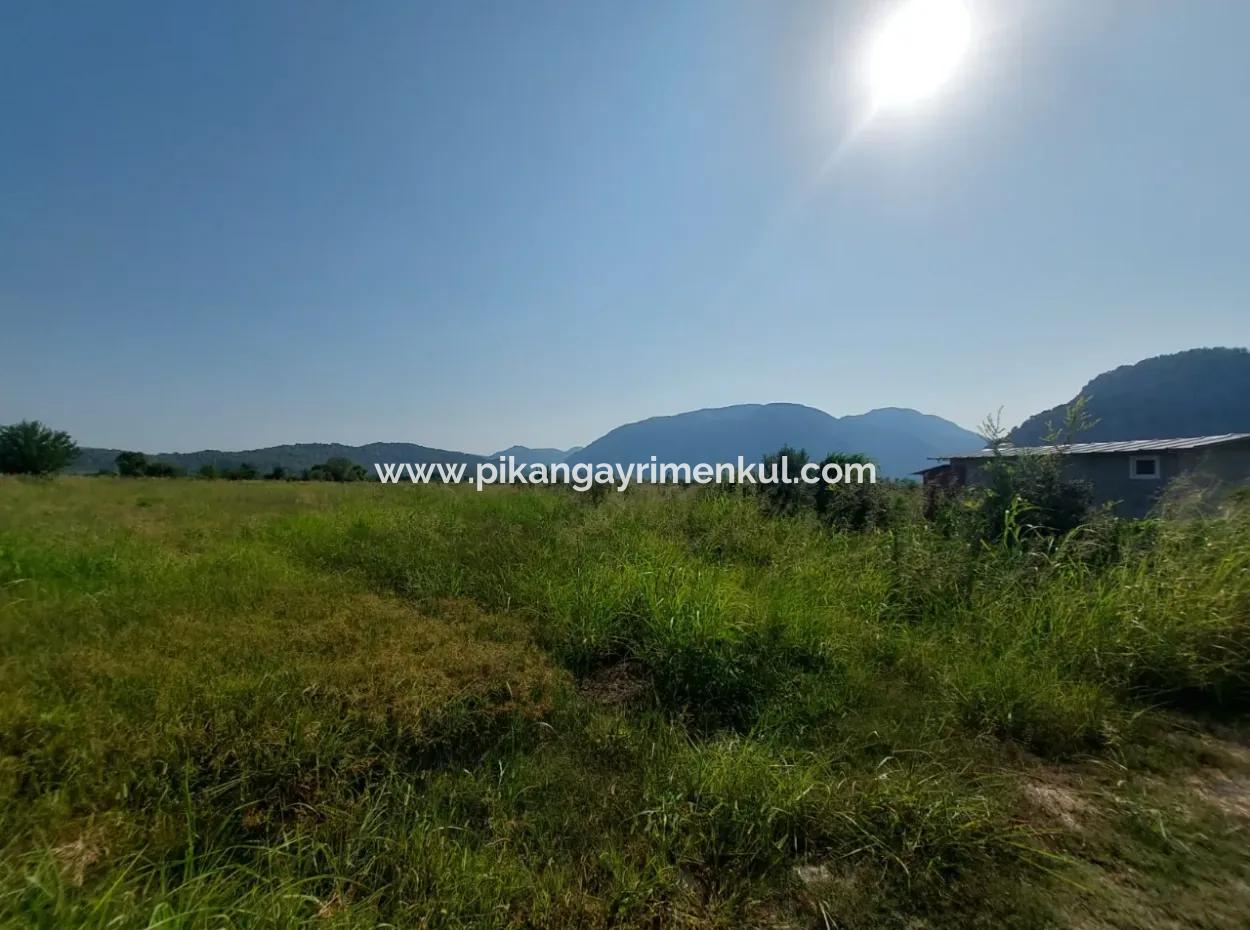 Ortaca Mergenlide Detached Title Deed 11.000 M2 Bargain Land For Emergency Sale