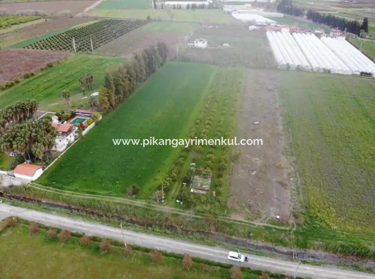 4100M2 Field For Sale Close To Lake In Dalyanda, Muğla