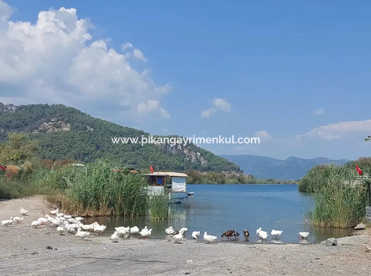 Muğla Ortaca Dalyanda 7.353 M2 Detached Land Close To The Canal For Sale