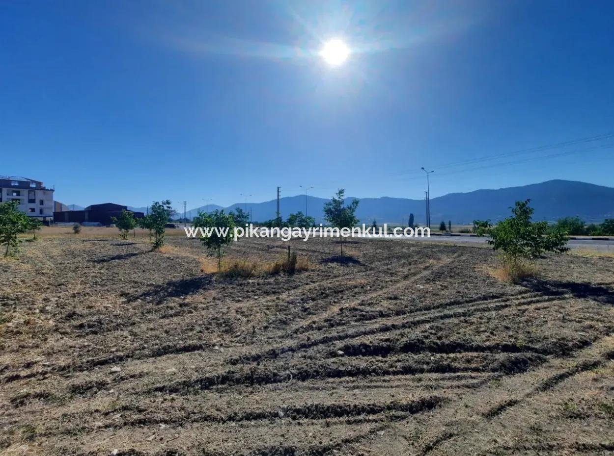 1 700 M2 Detached Land For Sale In Denizli Çameli Kolakta