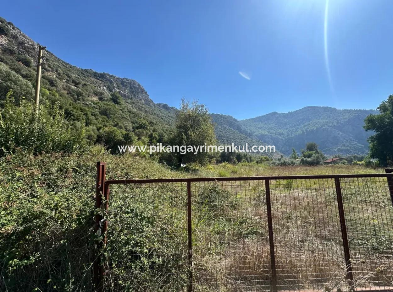 3073 M2 Field For Rent In Dalyan Marmarlı