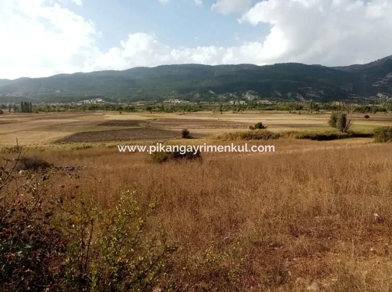 2603 M2 Field For Sale In Denizli Çameli Belevi Neighborhood