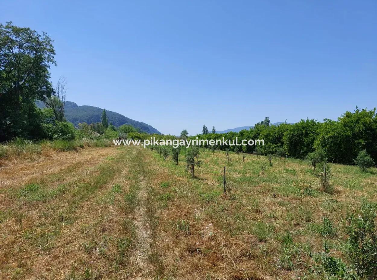 550M2 Share Land For Sale In The Built-Up Area Of The Village In Ortaca Kemaliye