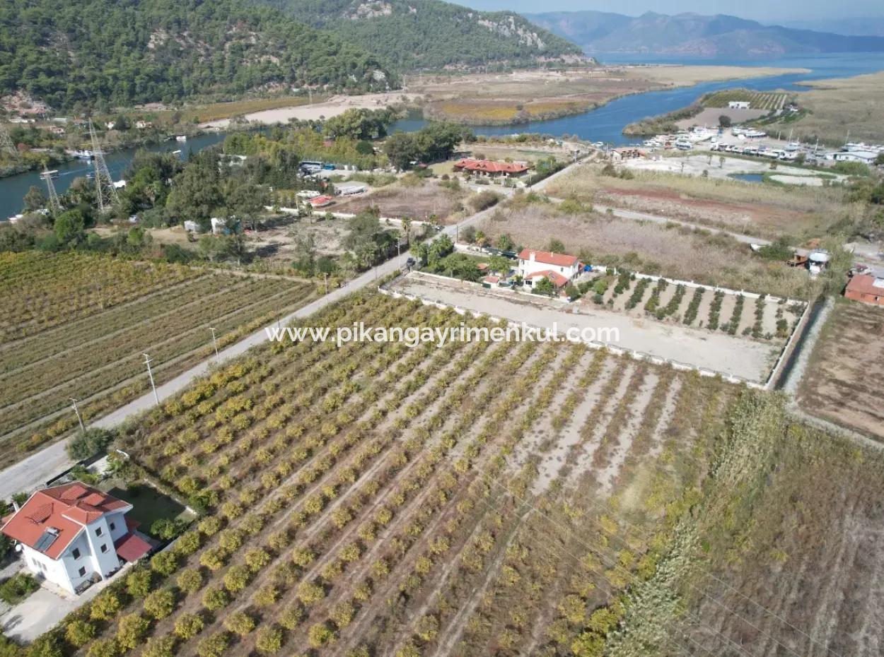 Muğla Dalyanda Canal 2Nd Parcel Detached 5.000 M2, 250 M2 Land With Construction Right For Sale