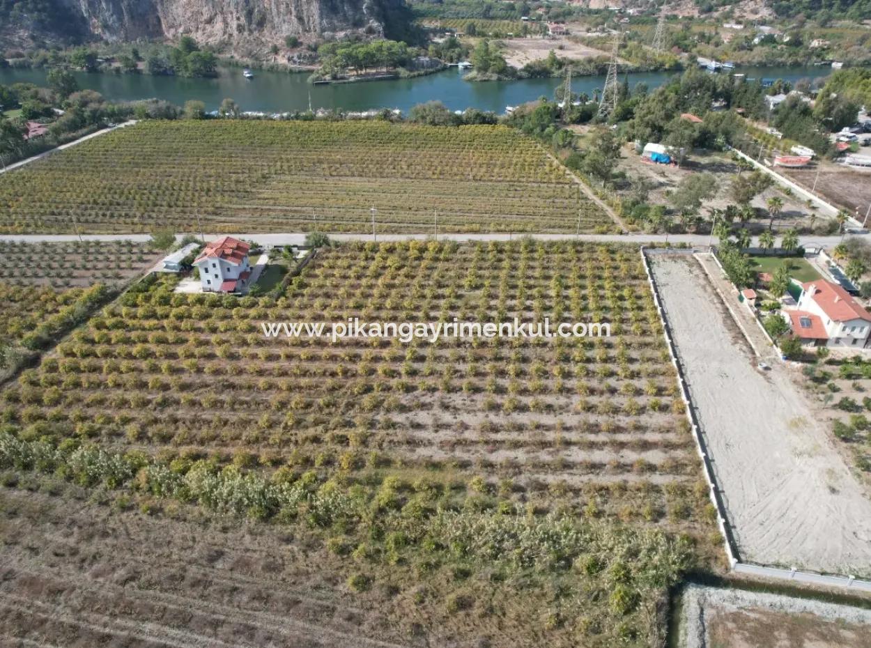 Muğla Dalyanda Canal 2Nd Parcel Detached 5.000 M2, 250 M2 Land With Construction Right For Sale