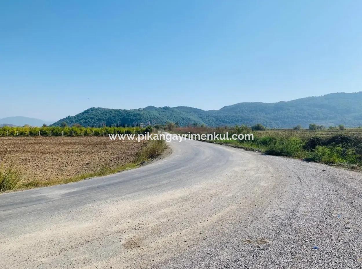 6000 M2 Corner Parcel Field For Sale In Ortaca Güzelyurt