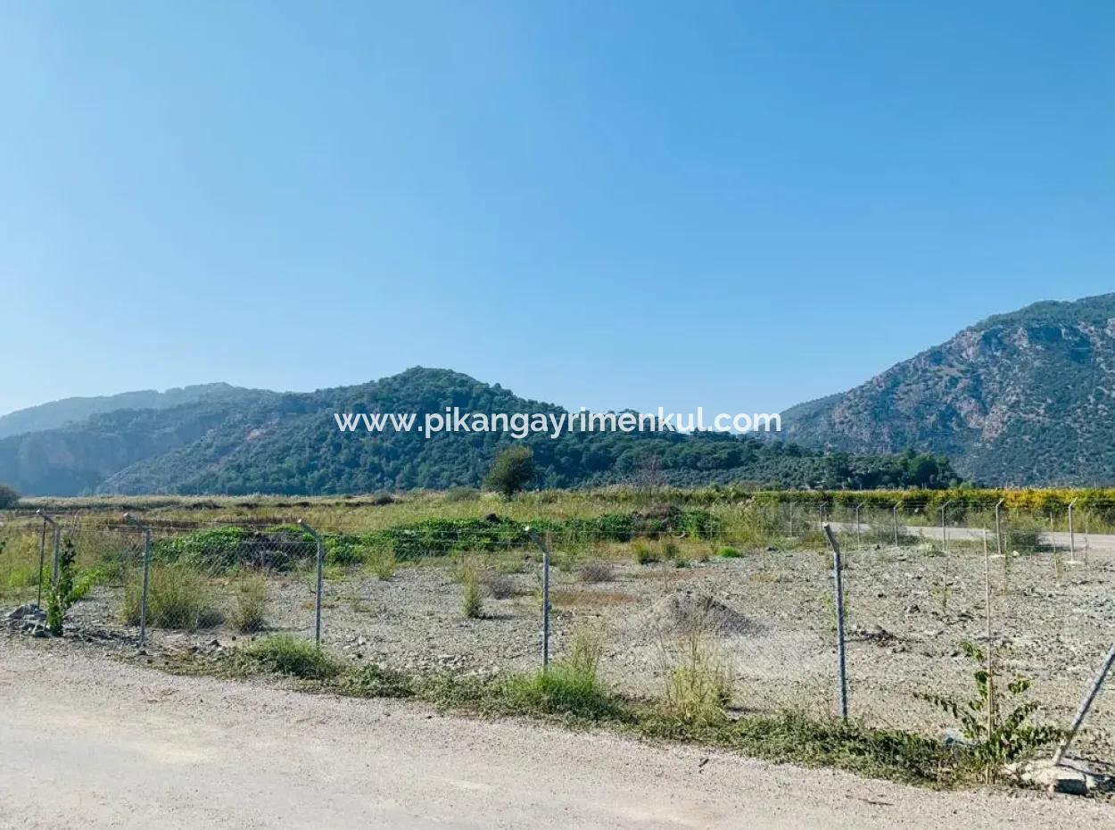 6000 M2 Corner Parcel Field For Sale In Ortaca Güzelyurt