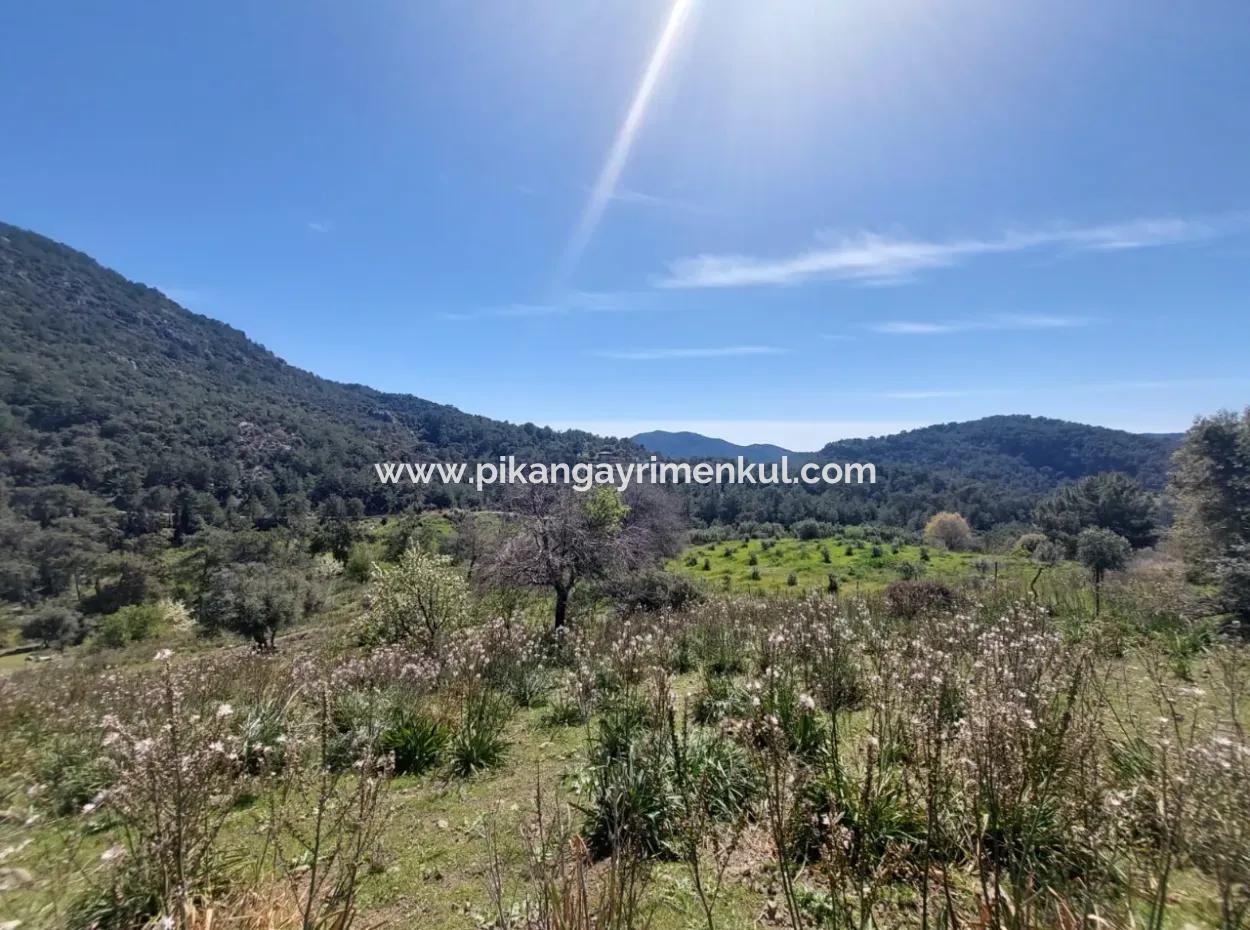 Ortaca Gökbelde 1896 M2 Land For Sale In Nature