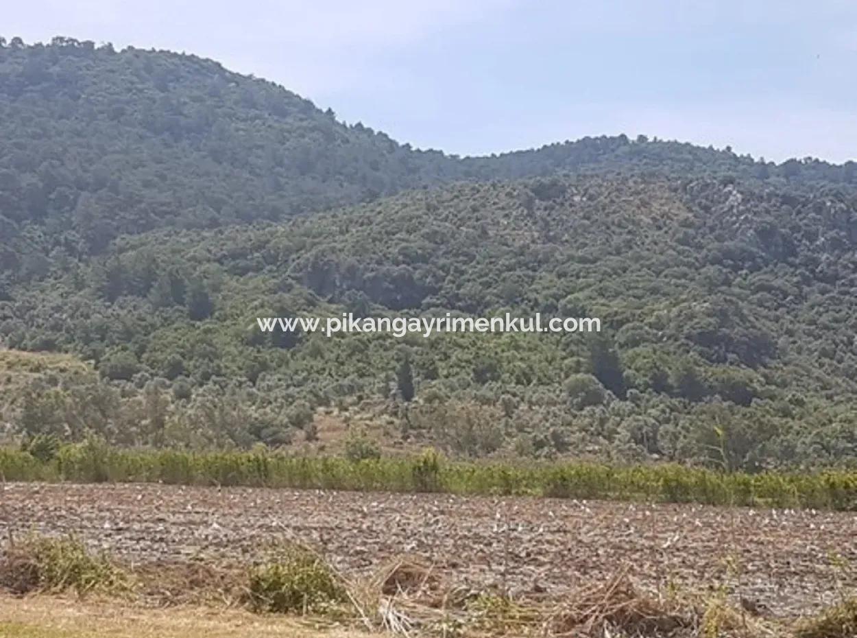 Oriya Eksiliyurt Mah. 26512 M2 Arable Land Also For Sale