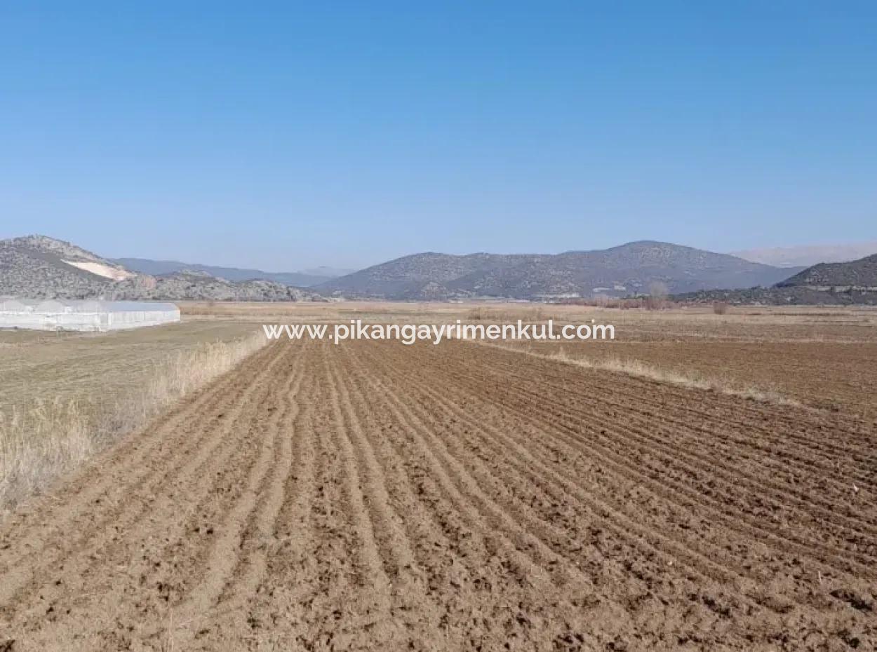 6 600 M2 Detached Land With Lake View For Sale In Burdur Gölhisar Kargalı Village