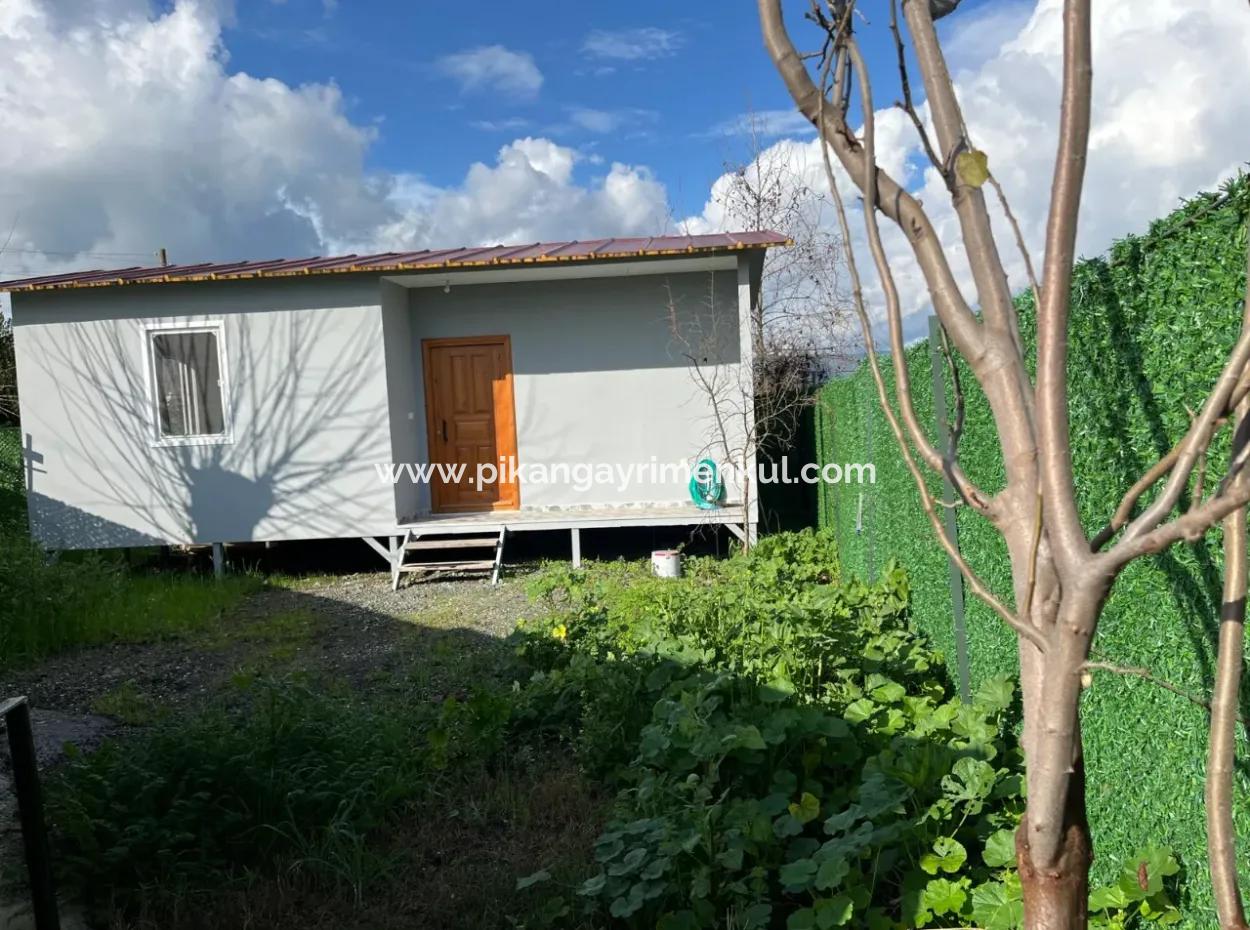 Tiny House With Swimming Pool In Nature And Village House For Emergency Sale On 1 388 M2 Land In Göcek