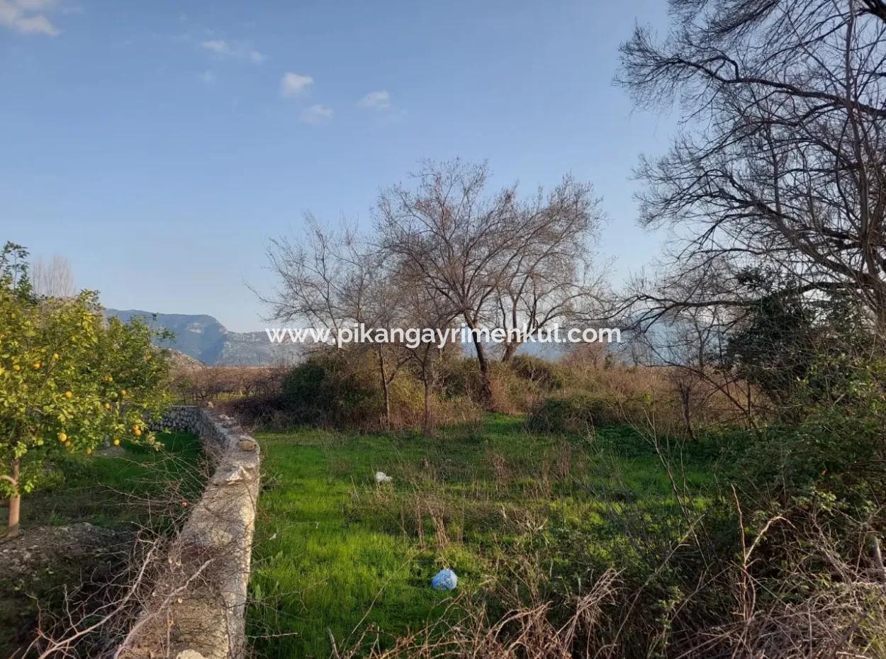 2585 M2 Detached Land Close To The Lake In Köyceğiz Çandırda For Sale