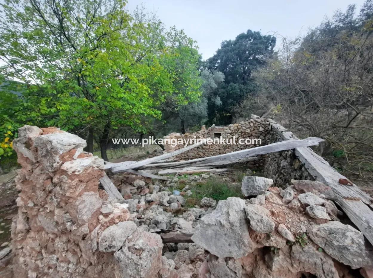 24.000 M2 Detached Land For Sale In Muğla Dalyan Gökbelde Nature