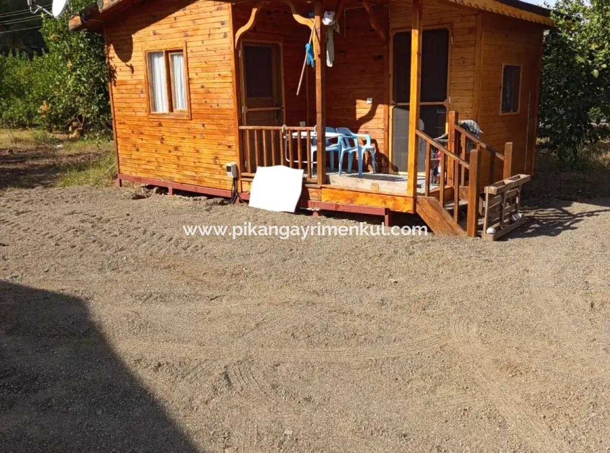 Muğla Ortaca Archers 1 1 Wooden Bungalow For Rent