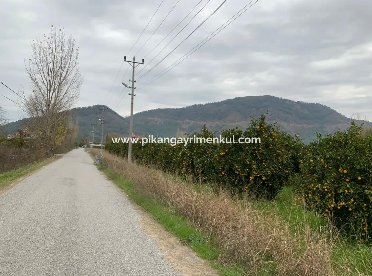 1084 M2 Zoned Bargain Land For Sale In Ortaca Ekşiliyurt